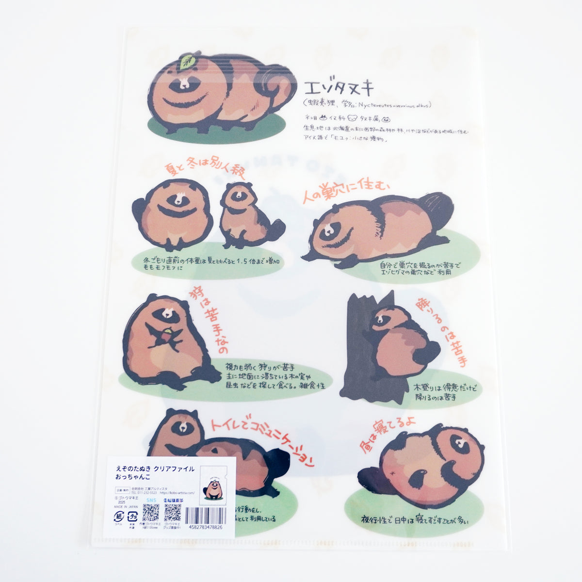 Ezo Raccoon Tanuki Dog Clear File - Occhanko