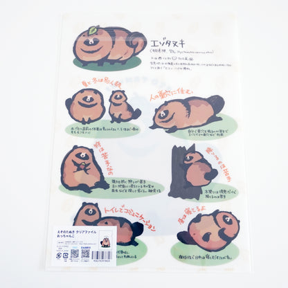 Ezo Raccoon Tanuki Dog Clear File - Occhanko