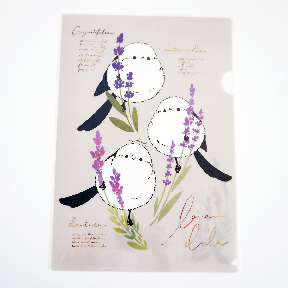 3 Types of Lavender and Shimaenaga Clear File - Piyo Techo