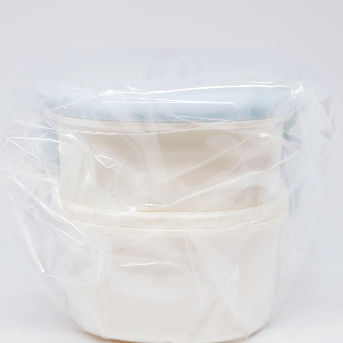 Shimaenaga 2-Tier Bento Lunch Box