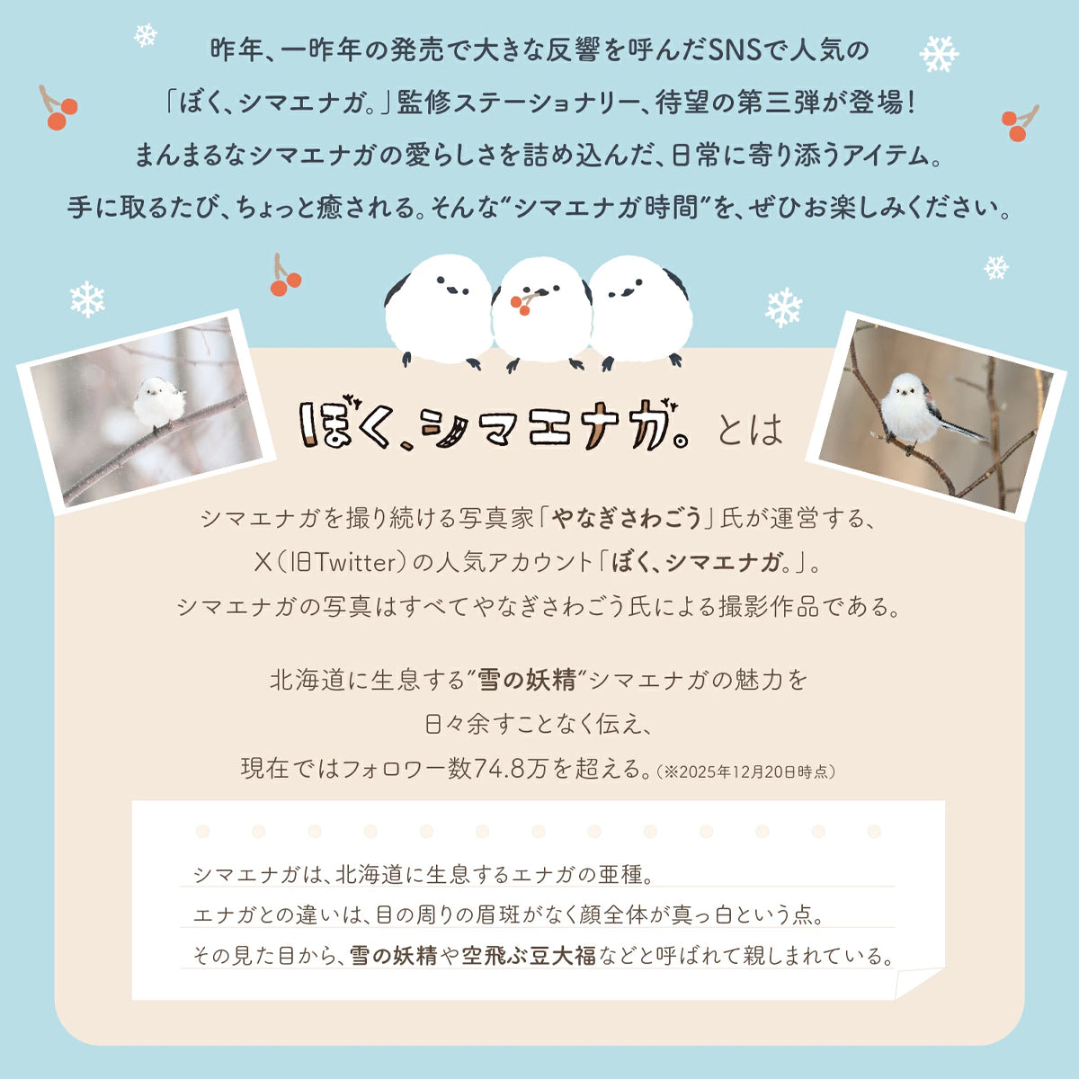 Round Shimaenaga Letter Set - Boku, Shimaenaga